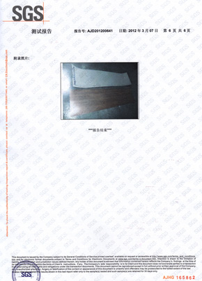91免费版黄片檢查報告SGS（中）
