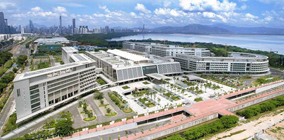 91免费版黄片工程案例之香港大學深圳醫院